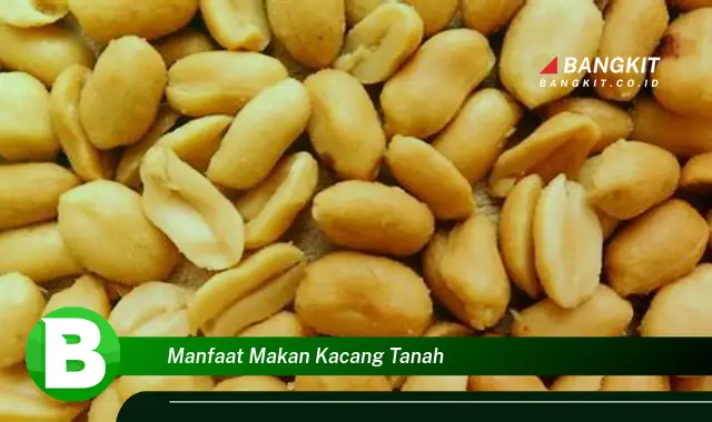 Ketahui Manfaat Makan Kacang Tanah yang Bikin Kamu Penasaran