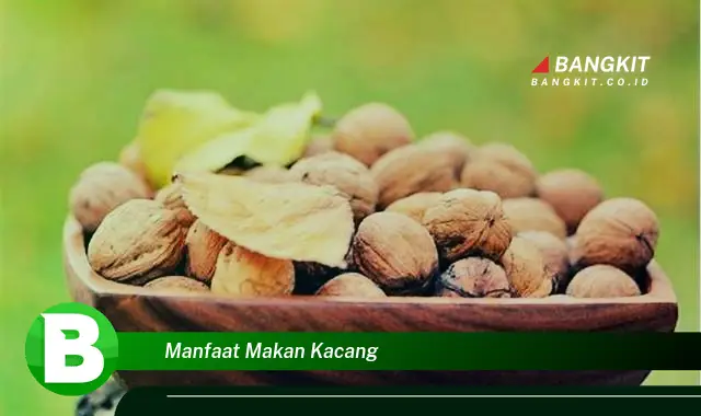 Ketahui Manfaat Makan Kacang yang Bikin Kamu Penasaran