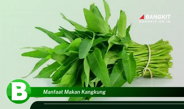 Temukan Manfaat Makan Kangkung yang Bikin Kamu Penasaran