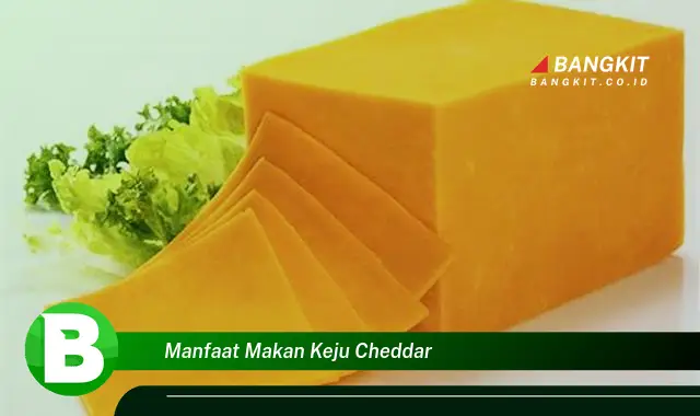 Intip Manfaat Makan Keju Cheddar yang Bikin Kamu Penasaran