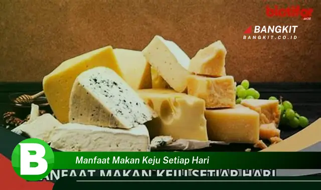 Temukan Manfaat Makan Keju Setiap Hari yang Bikin Kamu Penasaran