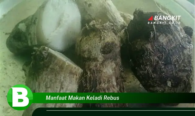 Ketahui Manfaat Makan Keladi Rebus yang Bikin Kamu Penasaran