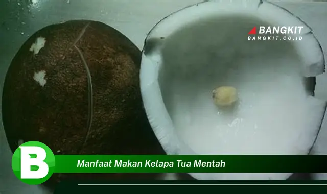 Intip Manfaat Makan Kelapa Tua Mentah yang Bikin Kamu Penasaran