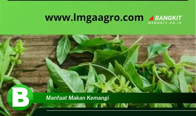 Temukan Manfaat Makan Kemangi yang Bikin Kamu Penasaran