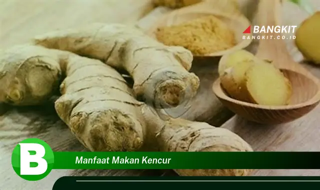 Ketahui Manfaat Makan Kencur yang Bikin Kamu Penasaran