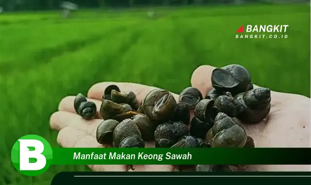 Intip Manfaat Makan Keong Sawah yang Bikin Kamu Penasaran