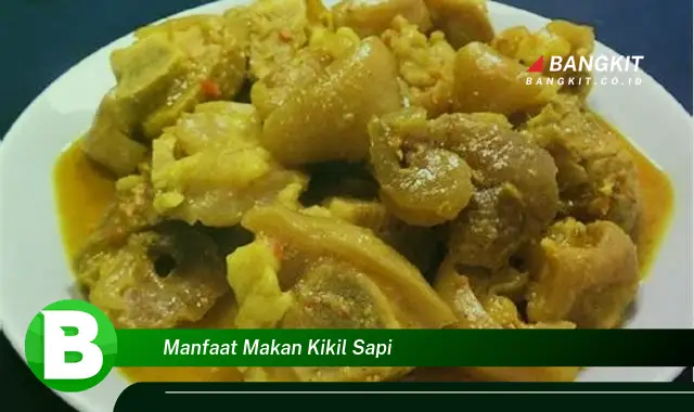 Ketahui Manfaat Makan Kikil Sapi yang Bikin Kamu Penasaran