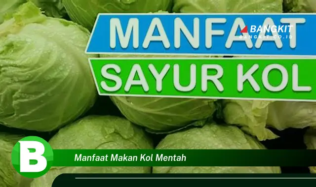 Temukan Manfaat Makan Kol Mentah yang Bikin Kamu Penasaran