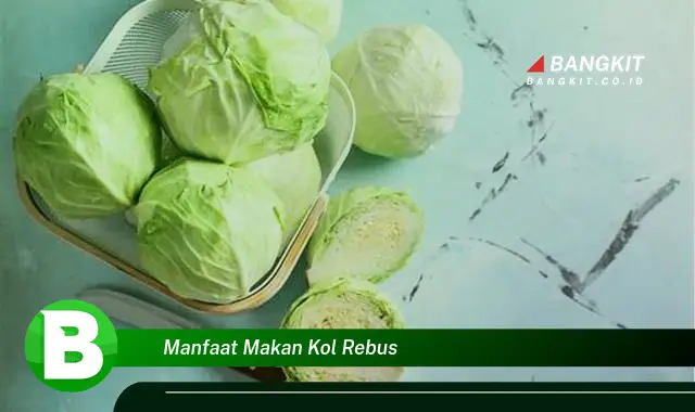 Intip Manfaat Makan Kol Rebus yang Bikin Kamu Penasaran