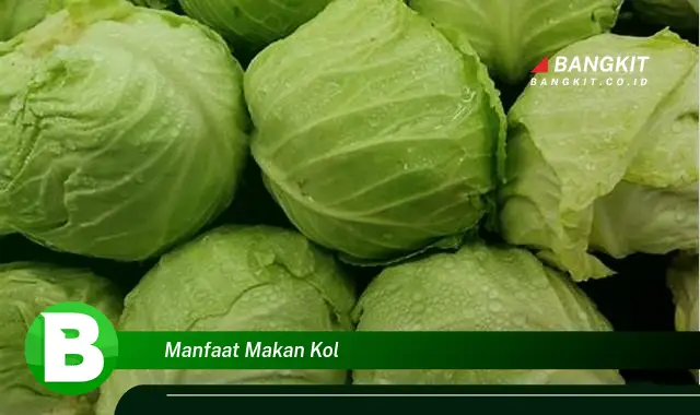 Intip Manfaat Makan Kol yang Bikin Kamu Penasaran