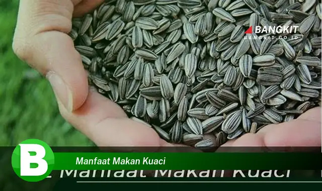 Temukan Manfaat Makan Kuaci yang Bikin Kamu Penasaran