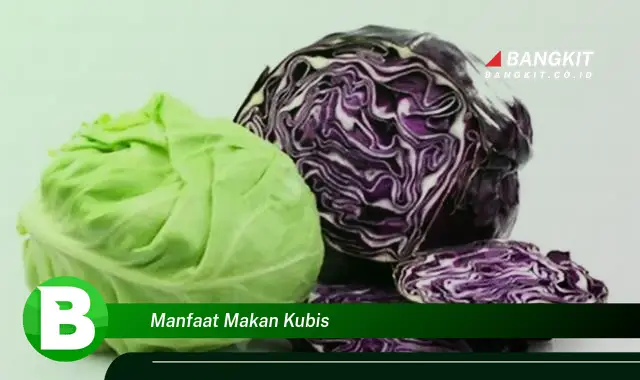 Intip Manfaat Makan Kubis yang Bikin Kamu Penasaran