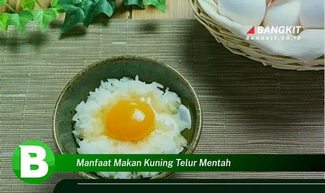 Ketahui Manfaat Dahsyat Makan Kuning Telur Mentah yang Wajib Kamu Intip