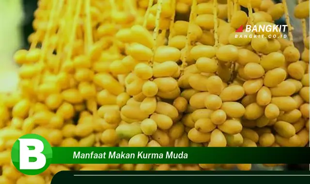 Temukan Manfaat Makan Kurma Muda yang Bikin Kamu Penasaran