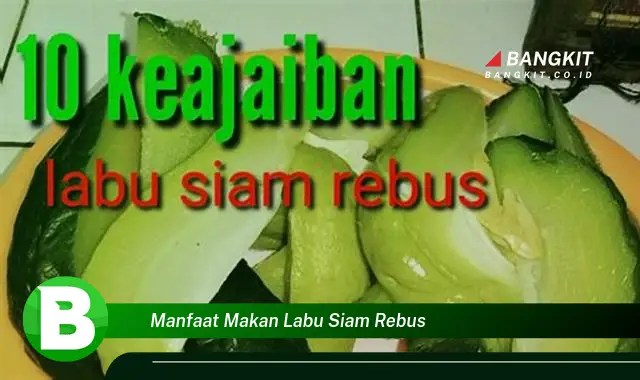 Intip Manfaat Makan Labu Siam Rebus yang Wajib Kamu Tahu