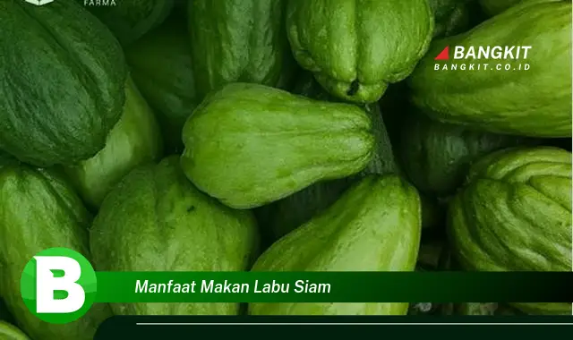 Intip Manfaat Makan Labu Siam yang Bikin Kamu Penasaran!