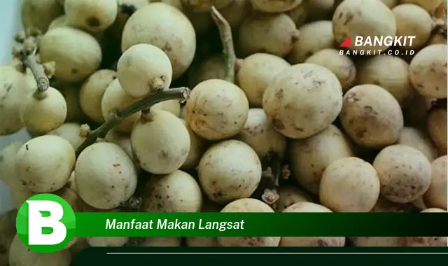 Temukan Manfaat Makan Langsat yang Wajib Kamu Tahu