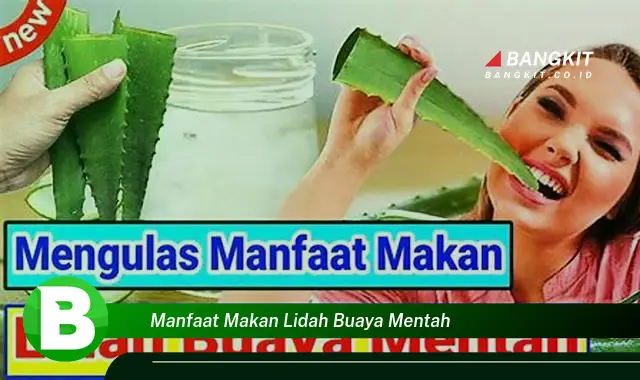 Intip Manfaat Makan Lidah Buaya Mentah yang Wajib Kamu Tau