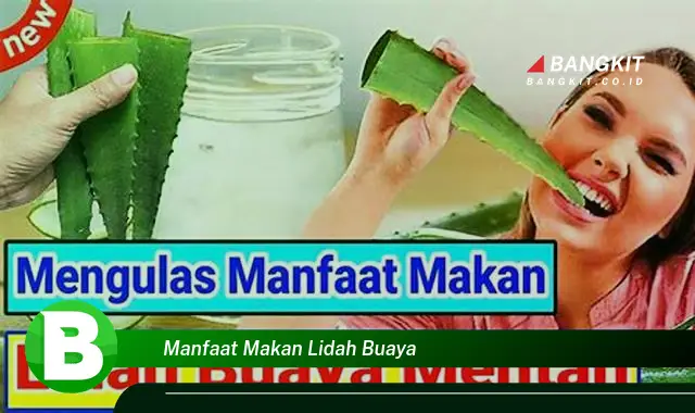 Intip Manfaat Lidah Buaya yang Bikin Kamu Penasaran