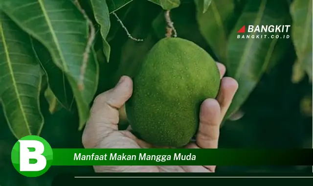 Ketahui Manfaat Makan Mangga Muda yang Bikin Kamu Penasaran