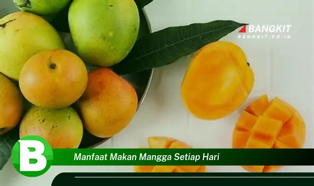 Intip Manfaat Makan Mangga Setiap Hari yang Bikin Kamu Penasaran