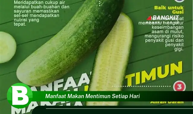 Intip Manfaat Makan Mentimun Setiap Hari yang Bikin Kamu Penasaran