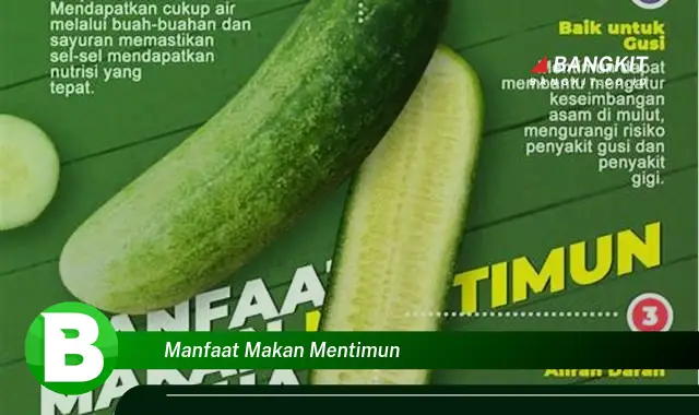 Ketahui Manfaat Makan Mentimun yang Wajib Kamu Intip