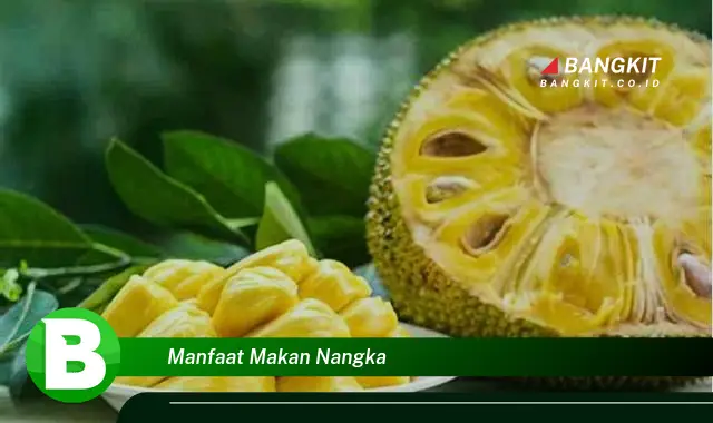 Ketahui Manfaat Makan Nangka yang Wajib Kamu Tau