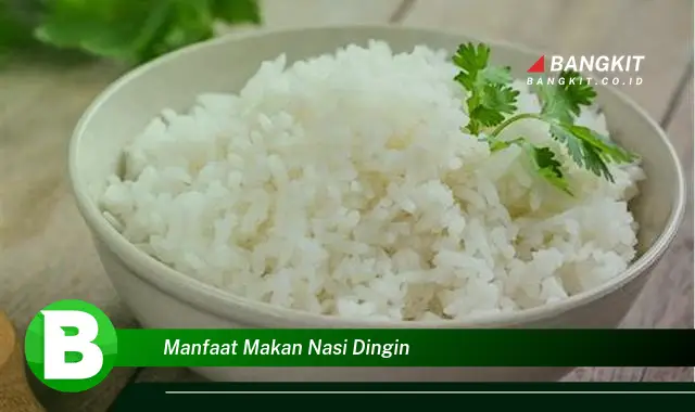 Temukan Manfaat Makan Nasi Dingin yang Bikin Kamu Penasaran