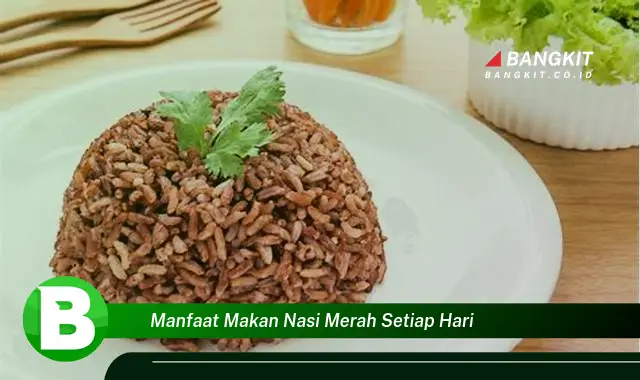 Intip Manfaat Makan Nasi Merah Setiap Hari yang Wajib Kamu Tahu