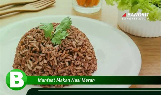 Temukan Manfaat Makan Nasi Merah yang Bikin Kamu Penasaran