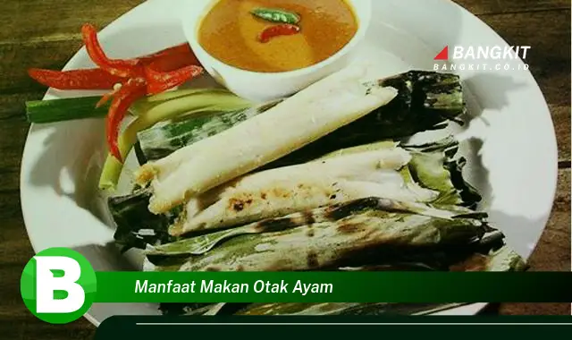 Temukan Manfaat Makan Otak Ayam yang Bikin Kamu Penasaran