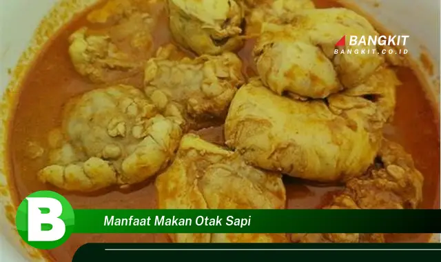 Temukan Manfaat Makan Otak Sapi yang Bikin Kamu Penasaran