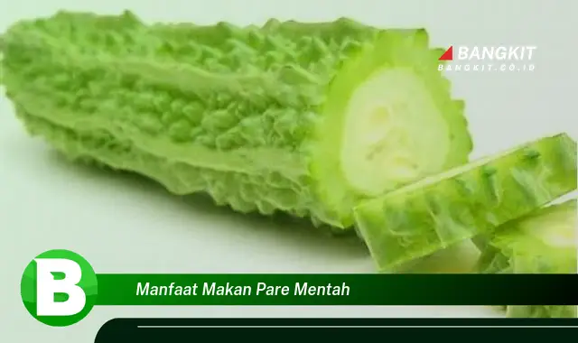 Intip Manfaat Makan Pare Mentah yang Bikin Kamu Penasaran!