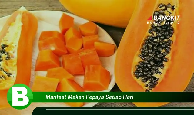 Intip Manfaat Makan Pepaya Setiap Hari yang Bikin Kamu Penasaran