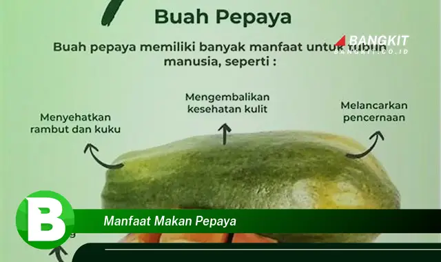 Kenali Manfaat Makan Pepaya yang Bikin Kamu Penasaran