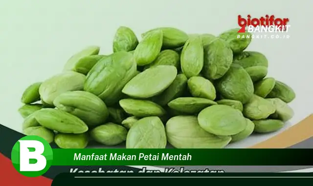 Intip Manfaat Makan Petai Mentah yang Bikin Kamu Penasaran