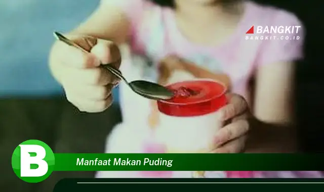 Temukan Manfaat Makan Puding yang Bikin Kamu Penasaran