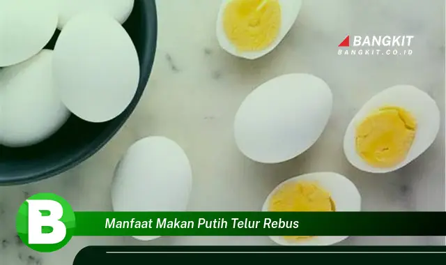 Temukan Manfaat Makan Putih Telur Rebus yang Bikin Kamu Penasaran