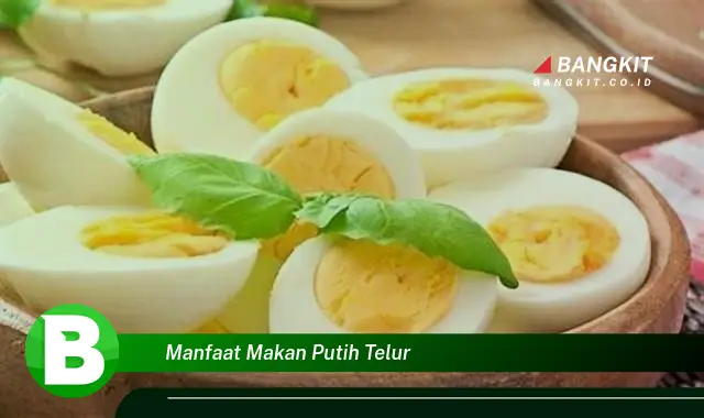 Intip Manfaat Makan Putih Telur yang Wajib Kamu Tahu