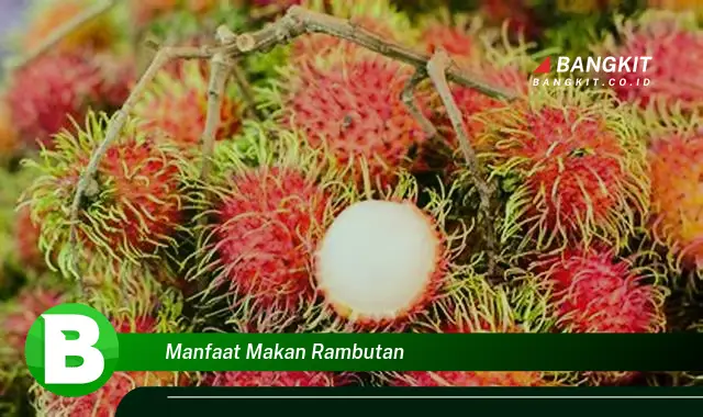 Ketahui Manfaat Makan Rambutan yang Bikin Kamu Penasaran