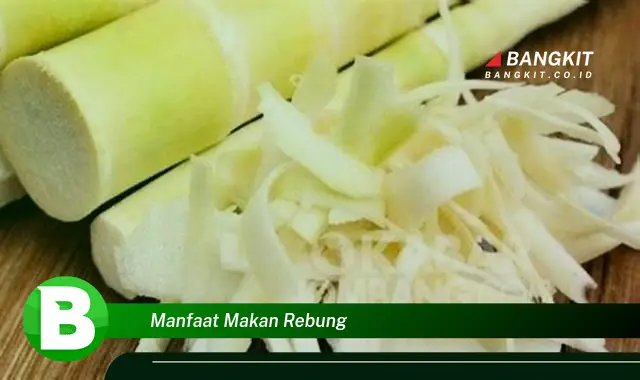 Temukan Manfaat Makan Rebung yang Bikin Kamu Penasaran