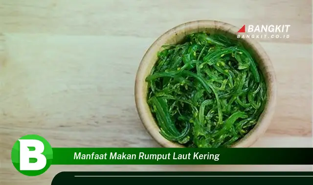 Intip Manfaat Makan Rumput Laut Kering yang Bikin Kamu Penasaran!