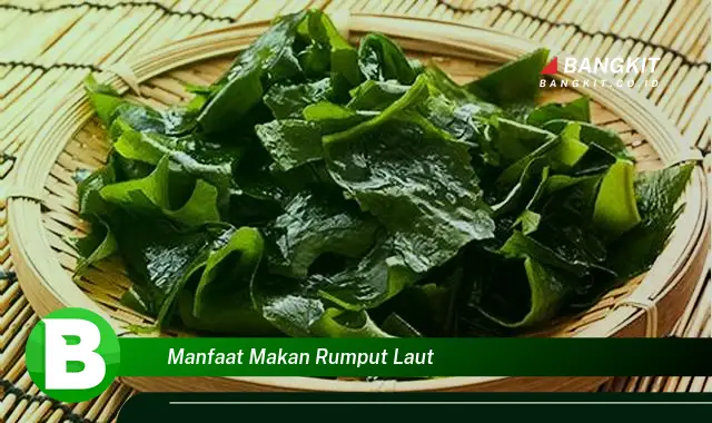 Temukan Manfaat Makan Rumput Laut yang Bikin Kamu Penasaran