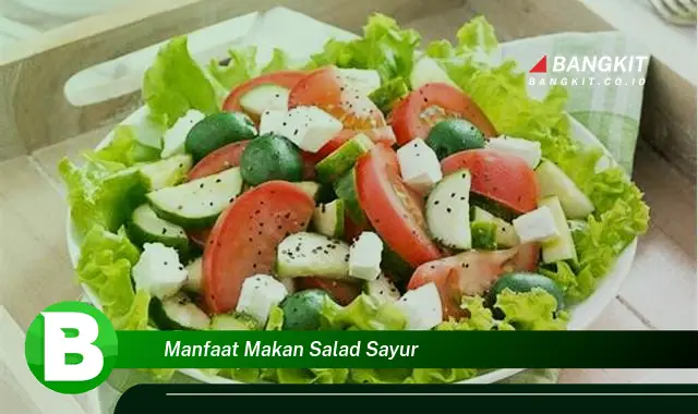 Temukan Manfaat Makan Salad Sayur yang Bikin Kamu Penasaran