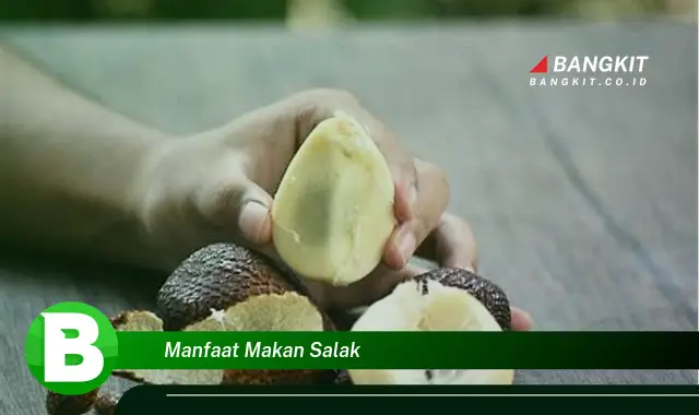 Ketahui Rahasia Manfaat Makan Salak yang Bikin Penasaran