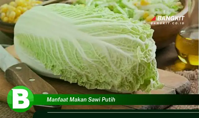 Intip Manfaat Makan Sawi Putih yang Wajib Kamu Ketahui