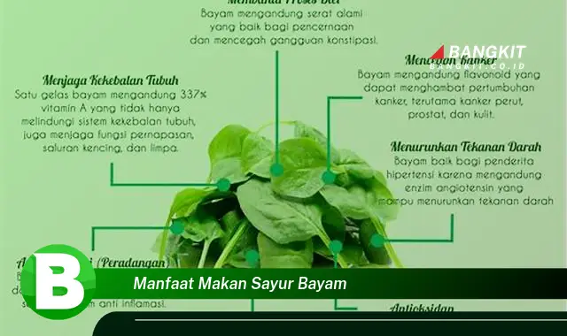 Intip Manfaat Makan Sayur Bayam yang Bikin Kamu Penasaran