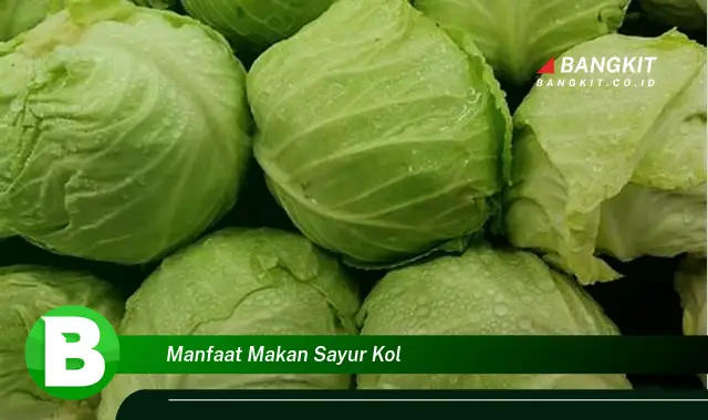 Intip Manfaat Makan Sayur Kol yang Bikin Kamu Penasaran