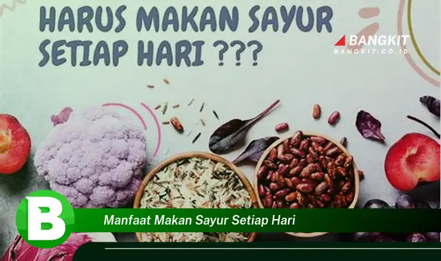 Temukan Manfaat Makan Sayur Setiap Hari yang Wajib Kamu Tau